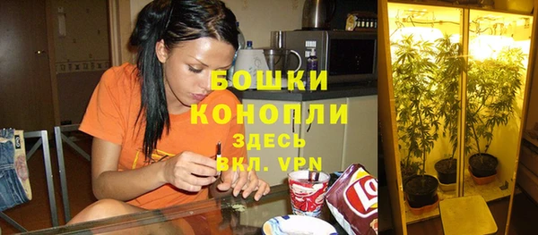 метадон Ельня