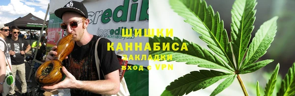 метадон Ельня