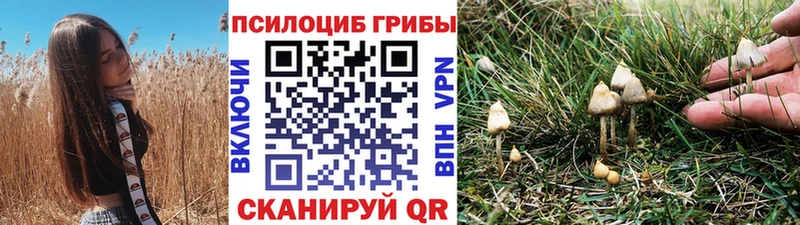 Псилоцибиновые грибы мицелий  Купить  Уфа 